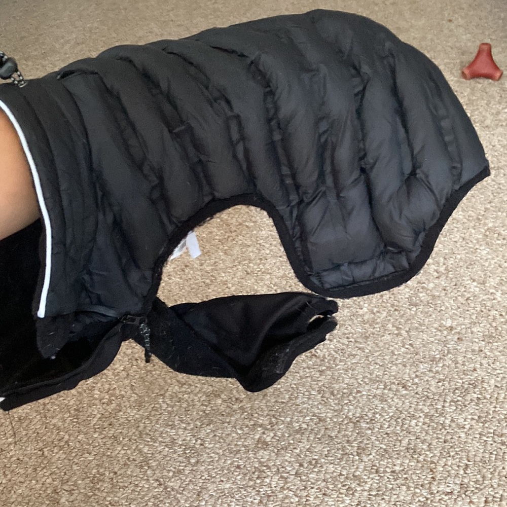 Jacket - Picture 2 of 3